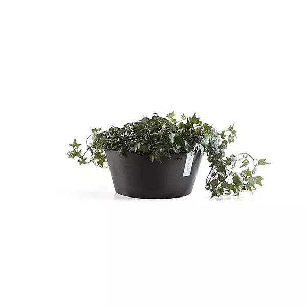 Frankfurt 30 Dark Grey