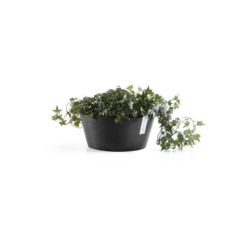 Frankfurt 30 Dark Grey