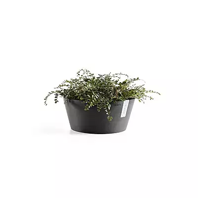 Frankfurt 40 Dark Grey