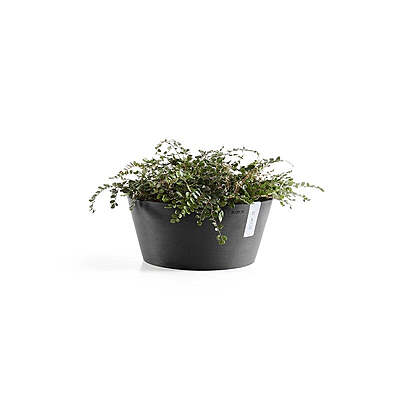 Frankfurt 40 Dark Grey