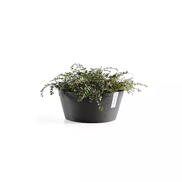 Frankfurt 40 Dark Grey