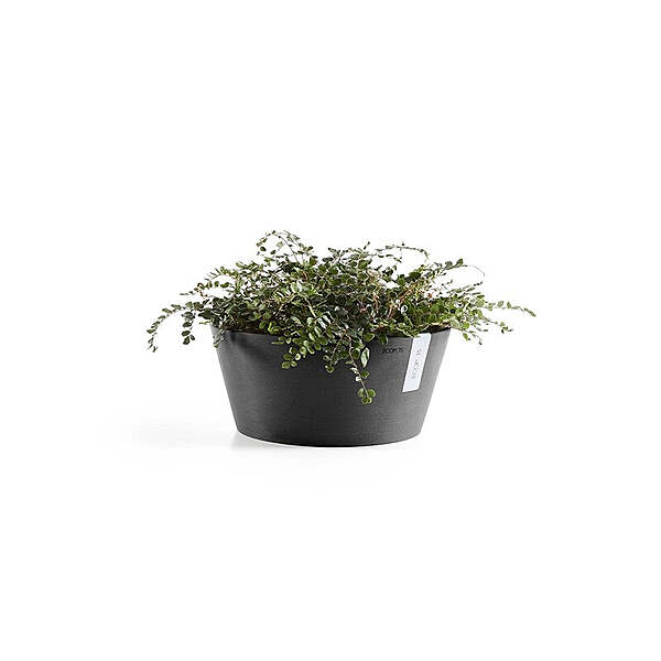 Frankfurt 40 Dark Grey