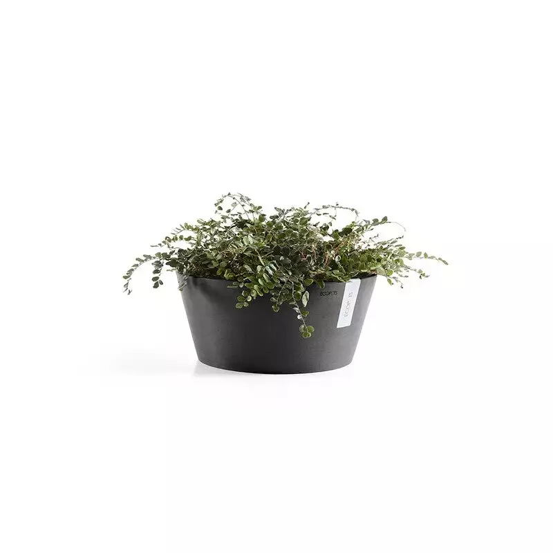 Frankfurt 40 Dark Grey