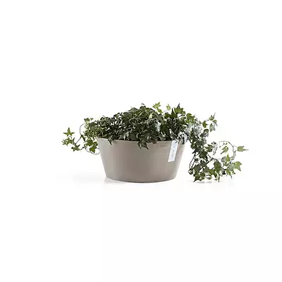 Frankfurt 40 Taupe