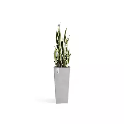 Rotterdam High 70 White Grey