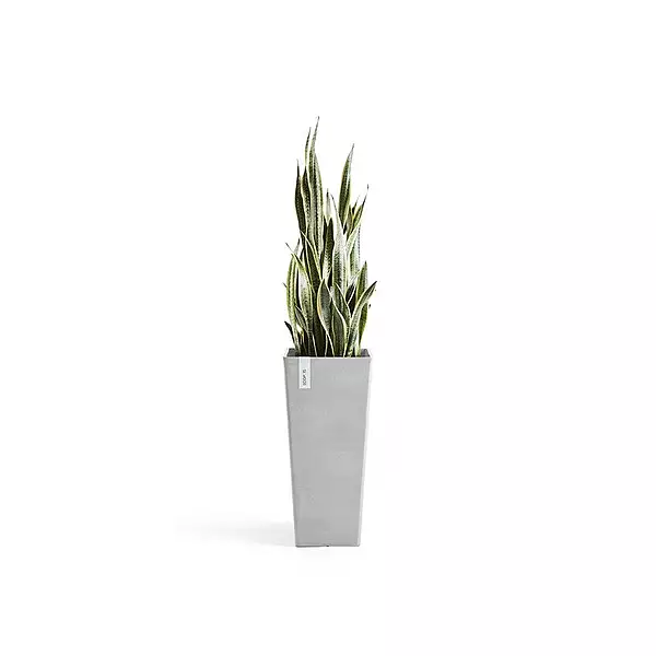 Rotterdam High 70 White Grey