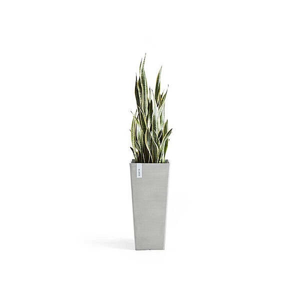 Rotterdam High 70 White Grey