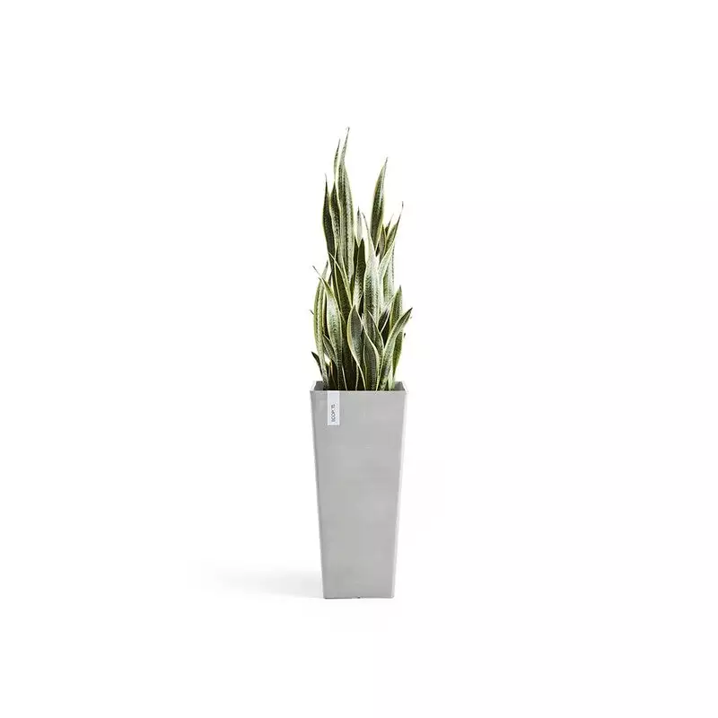 Rotterdam High 70 White Grey