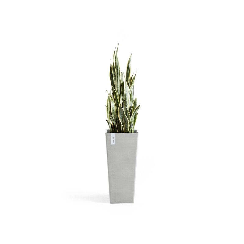 Rotterdam High 70 White Grey