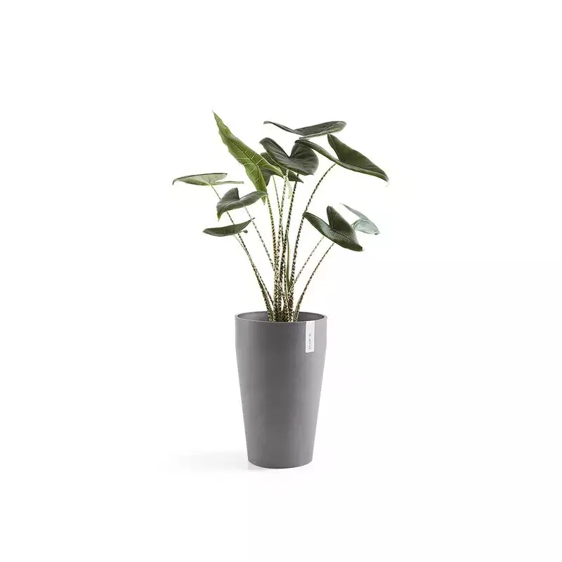 Sankara Mid High 55 Grey