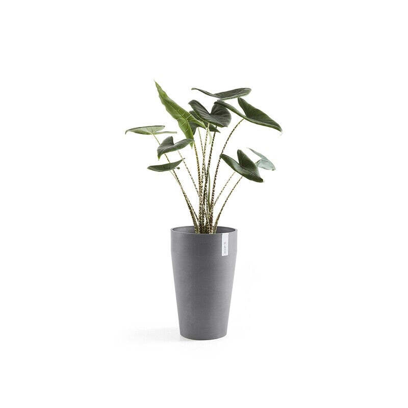 Sankara Mid High 55 Grey