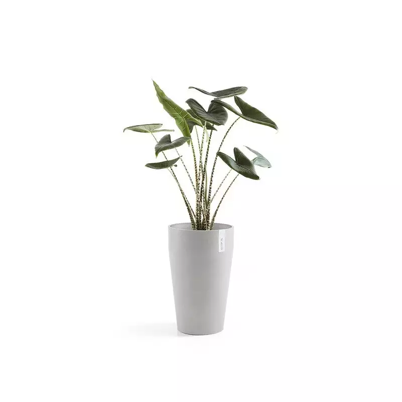 Sankara Mid High 55 White Grey