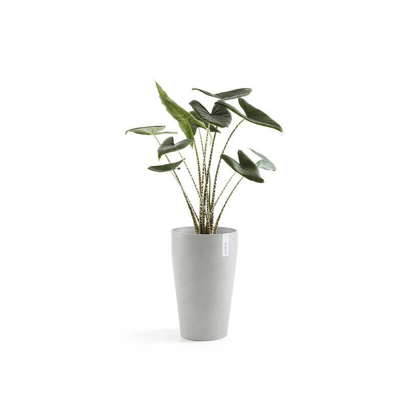 Sankara Mid High 55 White Grey