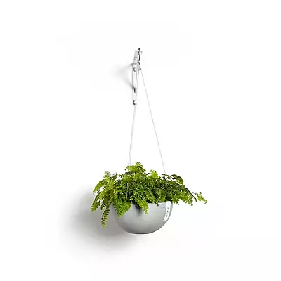 Hanging Brussels 27 White Grey