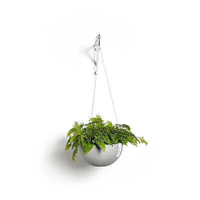 Hanging Brussels 27 White Grey