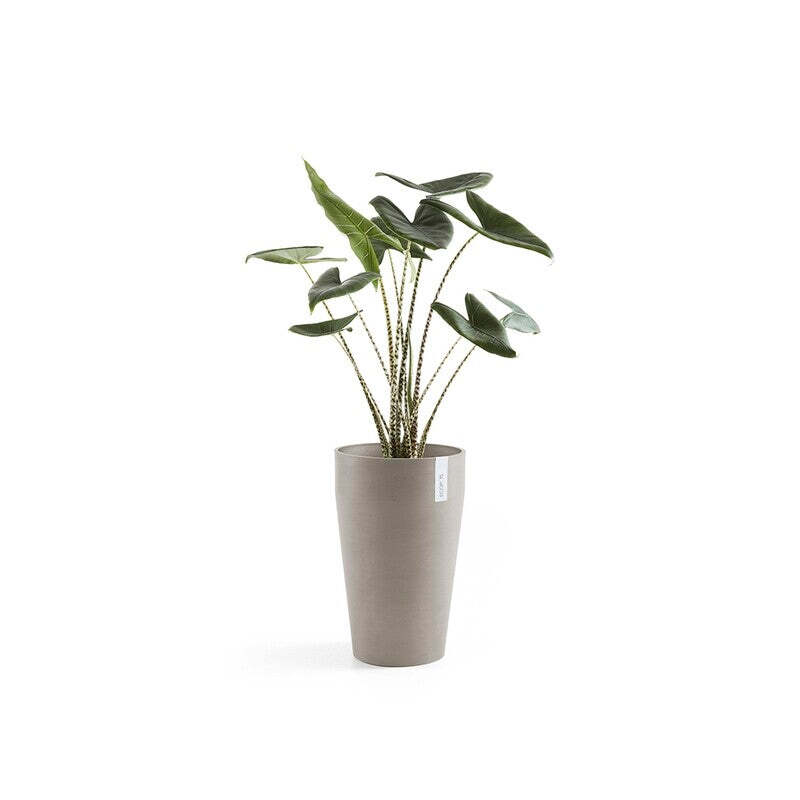 Sankara Mid High 55 Taupe