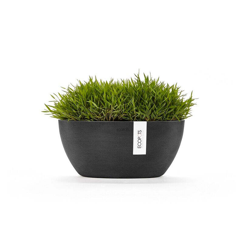 Sofia 30 Dark Grey