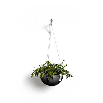 Hanging Brussels 27 Dark Grey