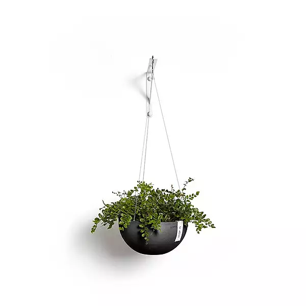 Hanging Brussels 27 Dark Grey