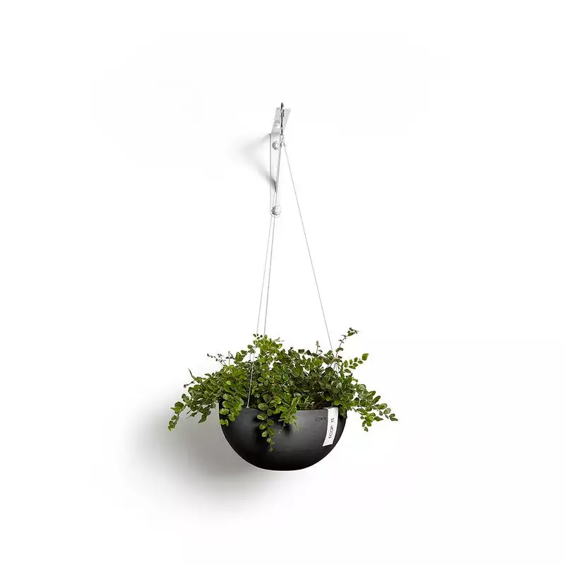 Hanging Brussels 27 Dark Grey