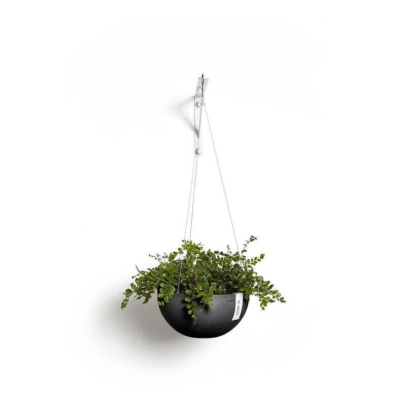 Hanging Brussels 27 Dark Grey