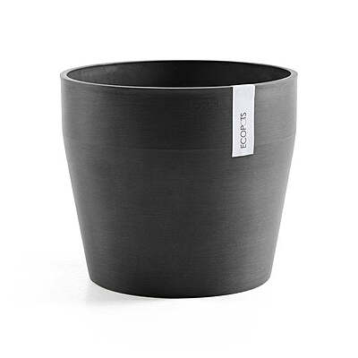 Sankara 40 Dark Grey