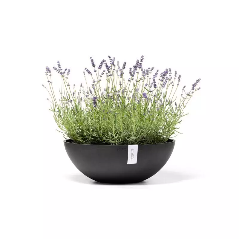 Vienna 50 Dark Grey