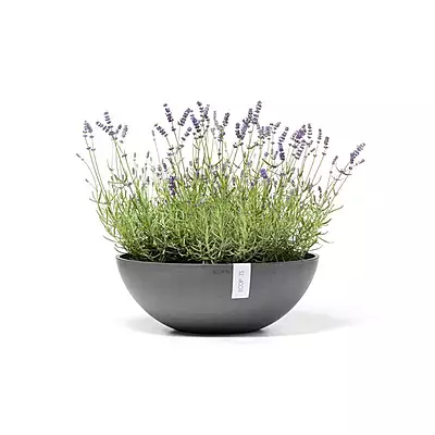 Vienna 50 Grey