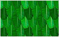 Backdrop Cloth for Fuctions Aritaku Banana Leaf with Orange Yellow Flower Decoration Cloth for All Functions and Photography (8X5)