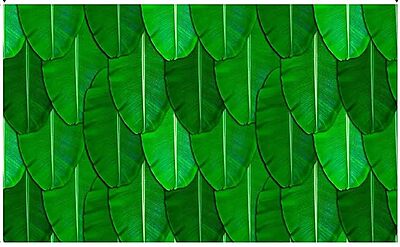 Backdrop Cloth for Fuctions Aritaku Banana Leaf with Orange Yellow Flower Decoration Cloth for All Functions and Photography (8X5)
