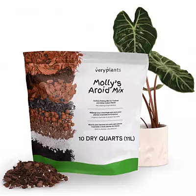 Molly's Aroid Mix - 11L