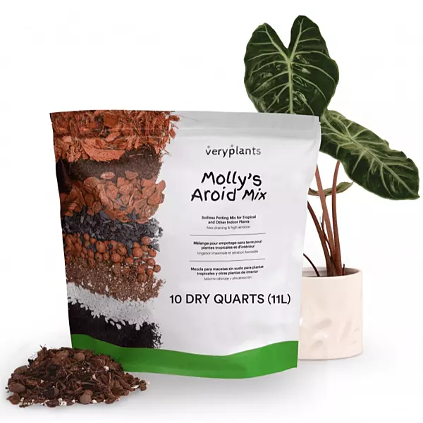 Molly's Aroid Mix - 11L