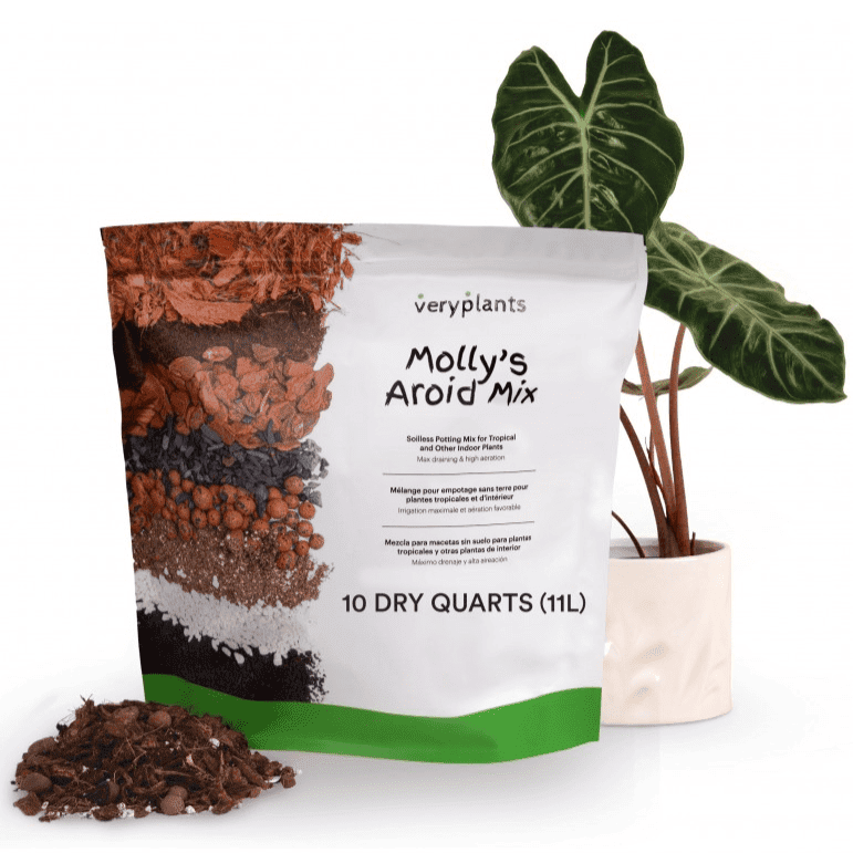 Molly's Aroid Mix - 11L