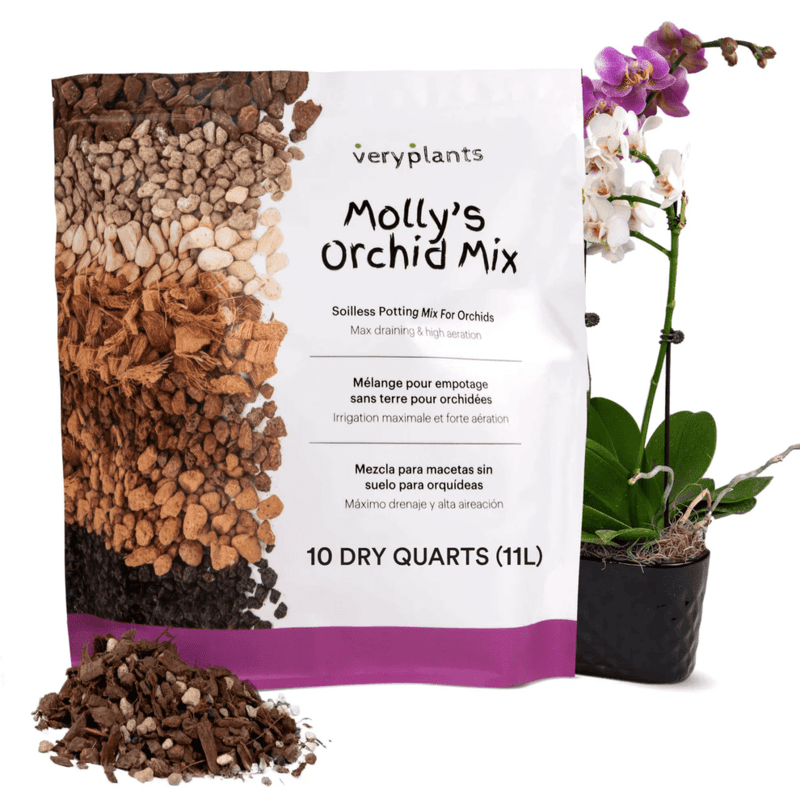 Molly's Orchid Mix 11L