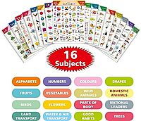 All in One English ABCD Chart For Kids (16 Charts ) 36 x 50 cm