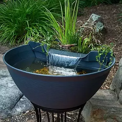 Aquagarden Mini Pond Kit - Mocha