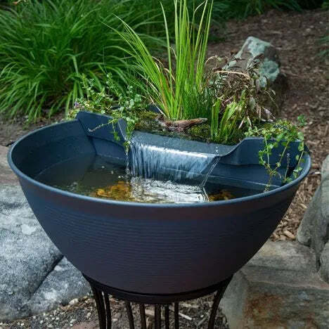 Aquagarden Mini Pond Kit - Mocha