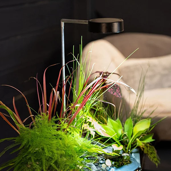 Aquagarden Plant Light