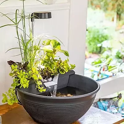 Aquagarden Tabletop Fountain Kit Mocha