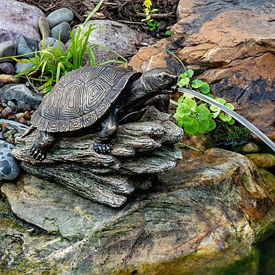 Turtle On Log Spitter