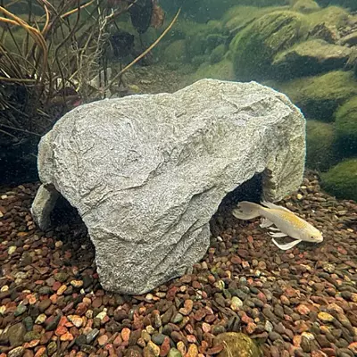 Faux Rock Fish Cave- 25" L X 15" W (63.5 X 38 Cm)
