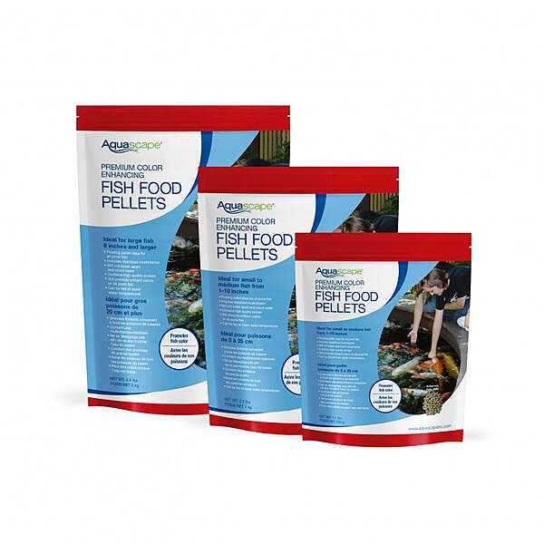 Premium Color Enhancing Fish Food-Large Pellets - 11 Lb / 5 Kg