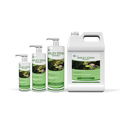 Barley Straw Extract - 1 Gal / 3.78 L