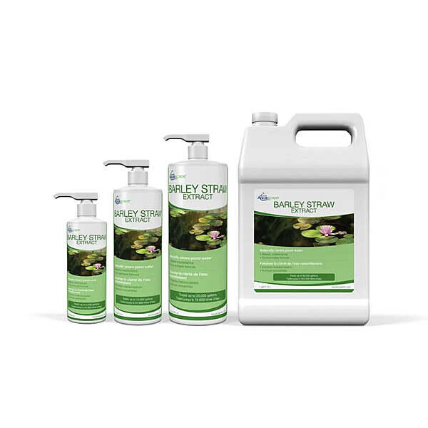 Barley Straw Extract - 1 Gal / 3.78 L