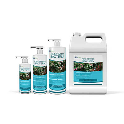 Pond Starter Bacteria - 16 Oz / 473 Ml
