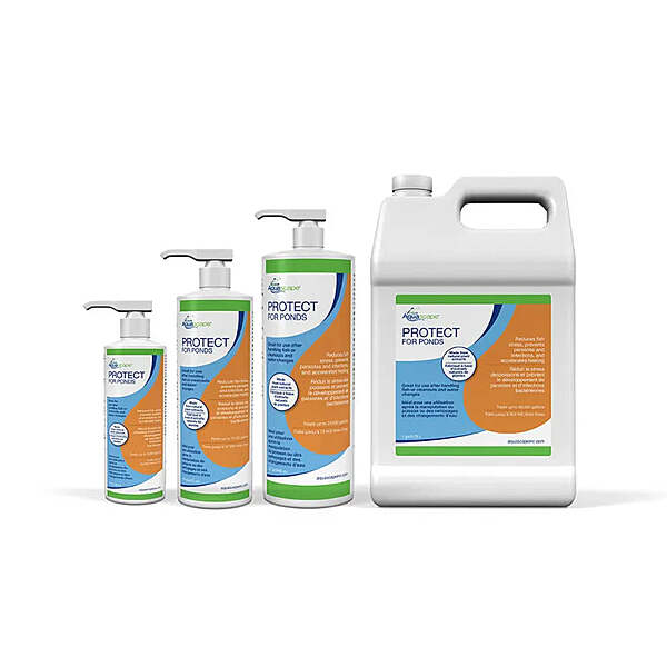 Protect For Ponds - 8 Oz / 236 Ml