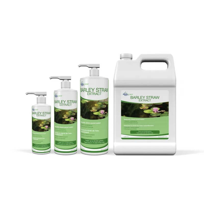 Barley Straw Extract - 32 Oz / 946 Ml
