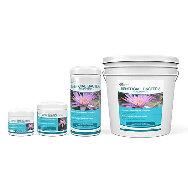 Beneficial Bacteria Concentrate - 1.1 Lb / 500 G
