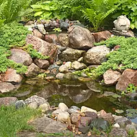 Diy Backyard Pond Kit 4' X 6'