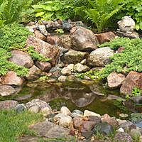 Diy Backyard Pond Kit 4' X 6'